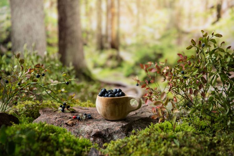 iStock-1635515221.jpg