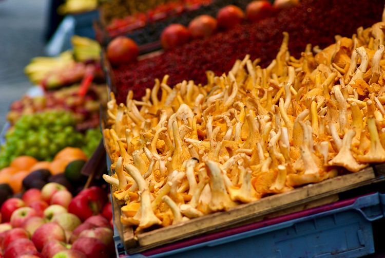 iStock-1729762689.jpg